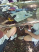 IMG_20260705_161002.jpg