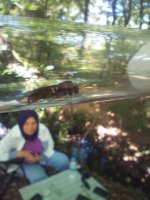 IMG_20260705_161010.jpg
