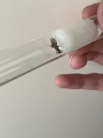 IMG_4213.jpeg