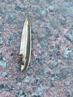 IMG_6813.jpeg
