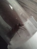IMG_20260706_133635.jpg