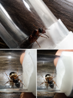 file_000000006ae071f4be80ee6acf39e121.png