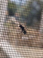 IMG_20260706_135204.jpg