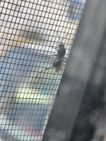 IMG_20260706_135121.jpg