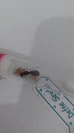 IMG-20260706-WA0020.jpeg