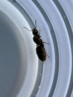IMG_2523.jpeg