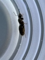 IMG_2522.jpeg