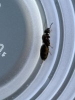 IMG_2521.jpeg