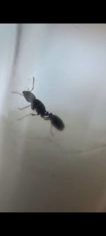 Screenshot_2026-07-04-20-45-28-555_com.miui.gallery.jpg