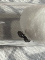 IMG_3707.jpeg