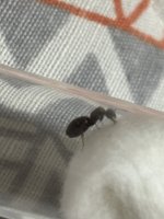 IMG_3704.jpeg