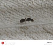 IMG_20260707_113404.jpg