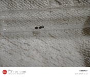 IMG_20260707_113336.jpg