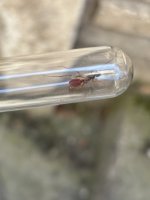 IMG_2754.jpeg