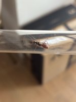 IMG_2756.jpeg