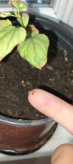 WhatsApp Image 2026-07-07 at 14.41.07.jpeg