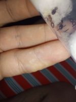 phe multi.jpg