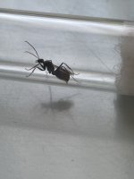 IMG_6519.jpeg
