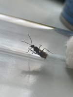 IMG_6520.jpeg