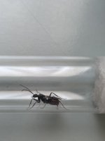 IMG_6521.jpeg