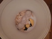 IMG_20260703_234305.jpg