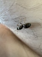 IMG_2631.jpeg