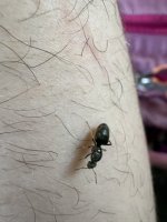 IMG_2626.jpeg