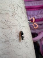 IMG_2624.jpeg