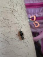 IMG_2623.jpeg