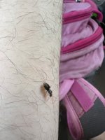 IMG_2622.jpeg
