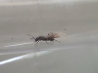 20260708_111210.jpg