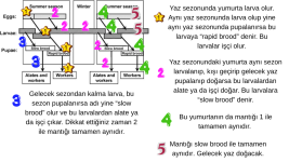 1783501053793.png
