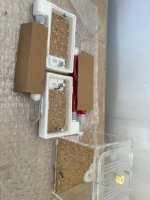 image 2.jpeg