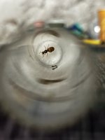 IMG_1630.jpeg