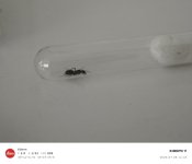 IMG_20260708_144530.jpg