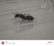 IMG_20260708_144419.jpg