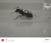 IMG_20260708_144408.jpg