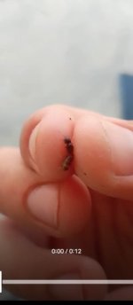 IMG-20260708-WA0003.jpg