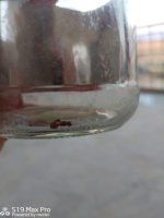 IMG-20260708-WA0004.jpg