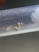 IMG_6839.jpeg