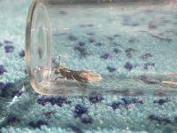 IMG_6844.jpeg