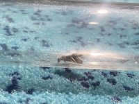 IMG_6843.jpeg