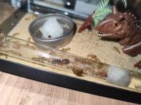 görsel_2026-07-08_234540986.png