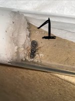 IMG_6534.jpeg