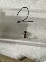 IMG_6529.jpeg