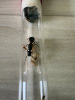IMG_2439.jpeg