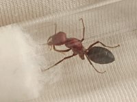 IMG_20260709_165933.jpg