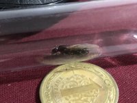 IMG_1486.jpeg