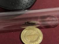 IMG_1488.jpeg