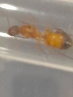20260710_012037.jpg